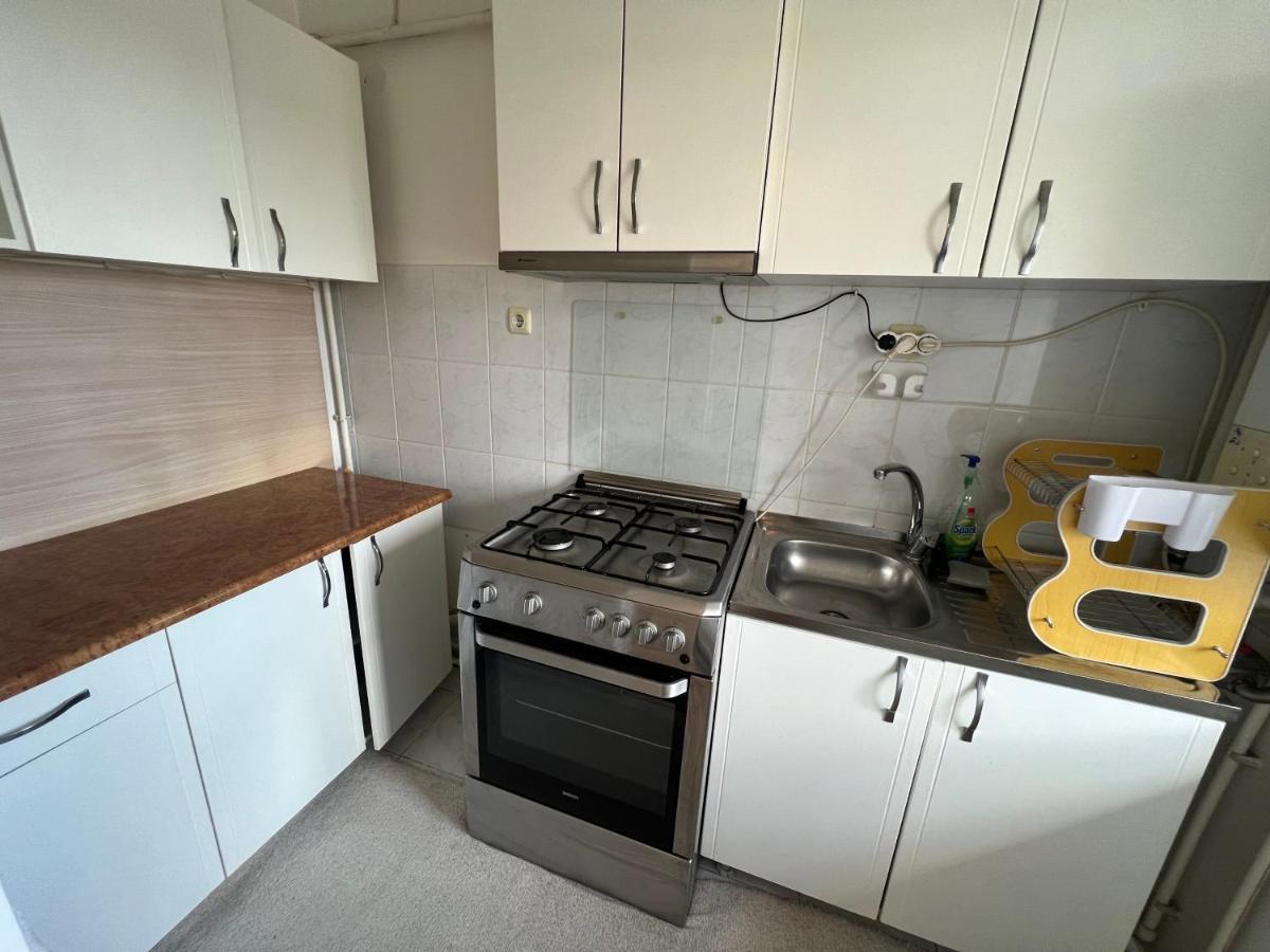 Sunny Studio Marasesti Apartment Suceava Exterior photo